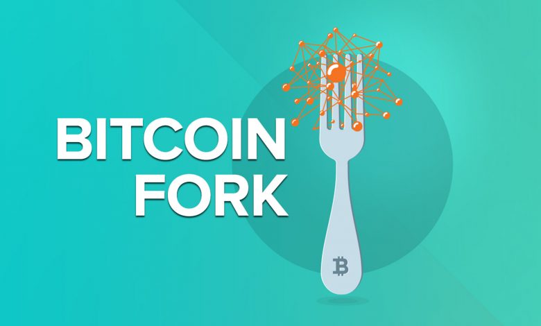 فورک بیت کوین Fork Hard soft