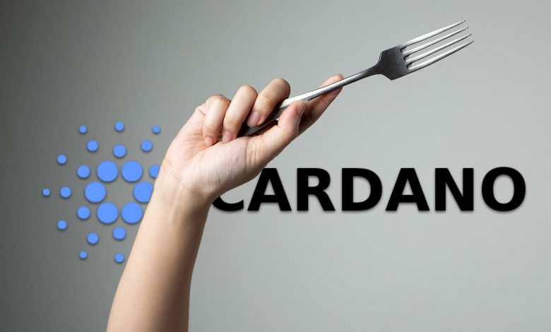 کاردانو Cardano هاردفورک مری Mary