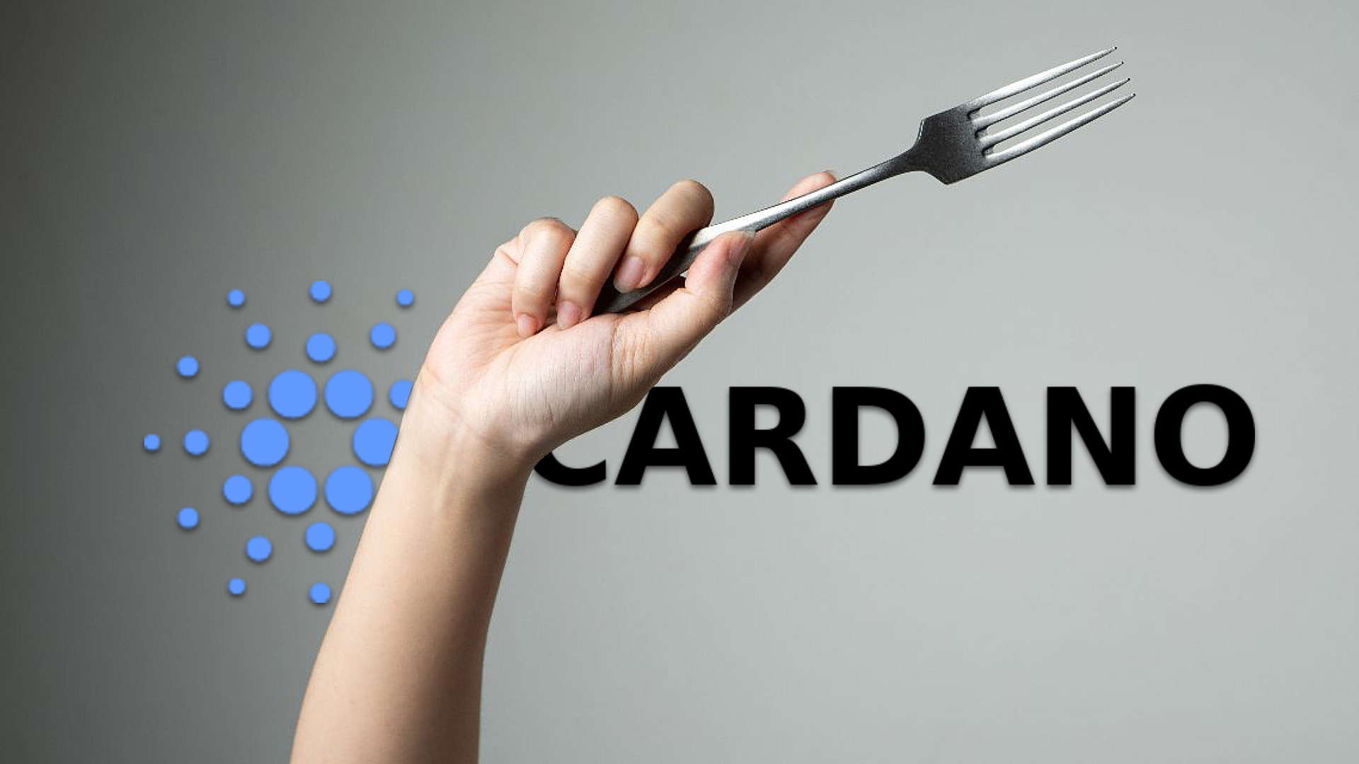 کاردانو Cardano هاردفورک مری Mary